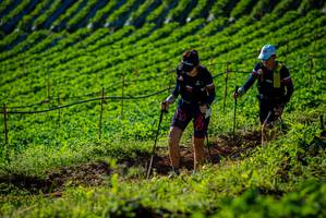 BIB: 
                            <button type="button" onclick="openModal(19160483)" class="btn btn-primary btn-sm float-right btn-popup" data-toggle="modal" data-target=".modal-high-quality">
                        <i class="fas fa-shopping-cart"></i> Add to Cart
                    </button>
                                            <button type="button" onclick="isThisMe(19160483, true)" class="btn btn-success btn-sm float-right btn-popup btn-isme hidden" data-toggle="tooltip" data-placement="bottom" title="นี่คือรูปของคุณใช่ไหม คลิกที่นี่เพื่อเอาเข้าอัลบั้ม">
                        <i class="fas fa-plus"></i> Add to album
                    </button>
                    <button type="button" onclick="isThisMe(19160483, false)" class="btn btn-warning btn-sm float-right btn-popup btn-isnotme hidden">
                        <i class="fas fa-ban"></i> Remove from album
                    </button>